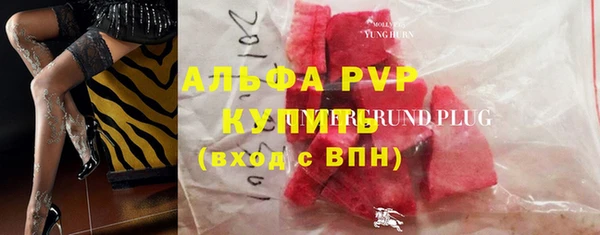 СК Волосово
