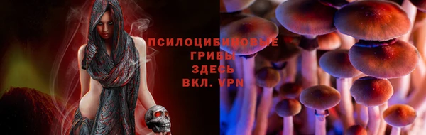СК Волосово