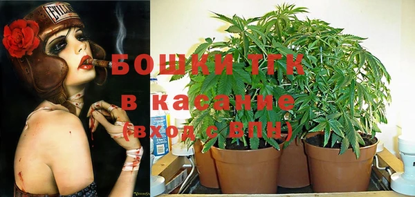 PSILOCYBIN Волоколамск