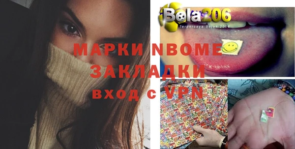 крисы Верхний Тагил