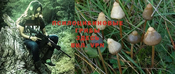 PSILOCYBIN Волоколамск